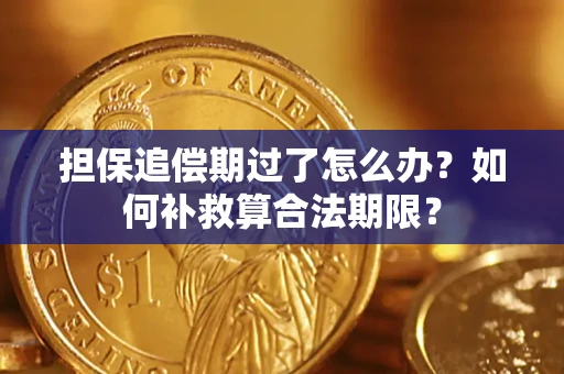 济南担保追偿期过了怎么办？如何补救算合法期限？