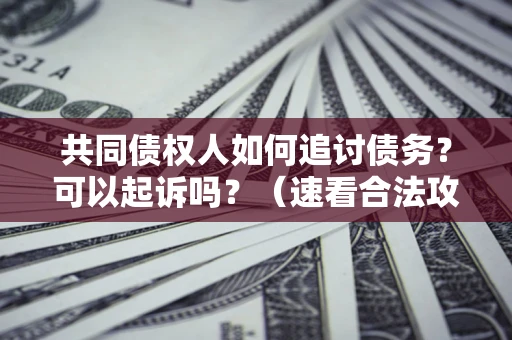 济南共同债权人如何追讨债务？可以起诉吗？（速看合法攻略）